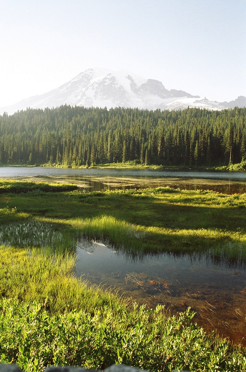 KatieFrankenbach_MountRainier_landscape_35mmfilm-KodakGold400-color_photography